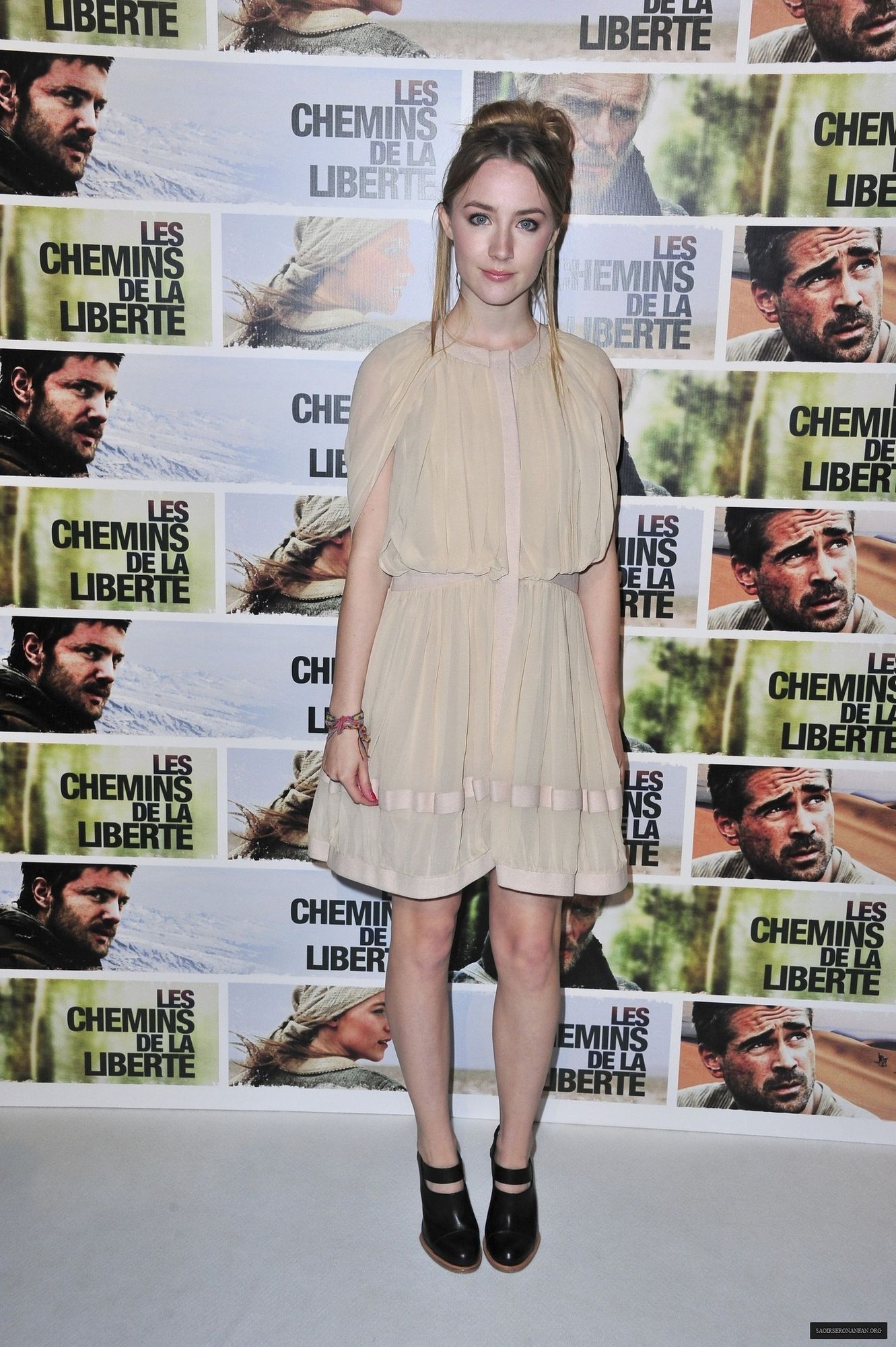 SRF-069.jpg SRF-069.jpg