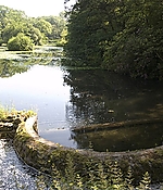 Filename=SRF-019.jpg
Filesize=183KiB
Dimensions=900x600
Date added=Jun 22, 2021 SRF-019.jpg