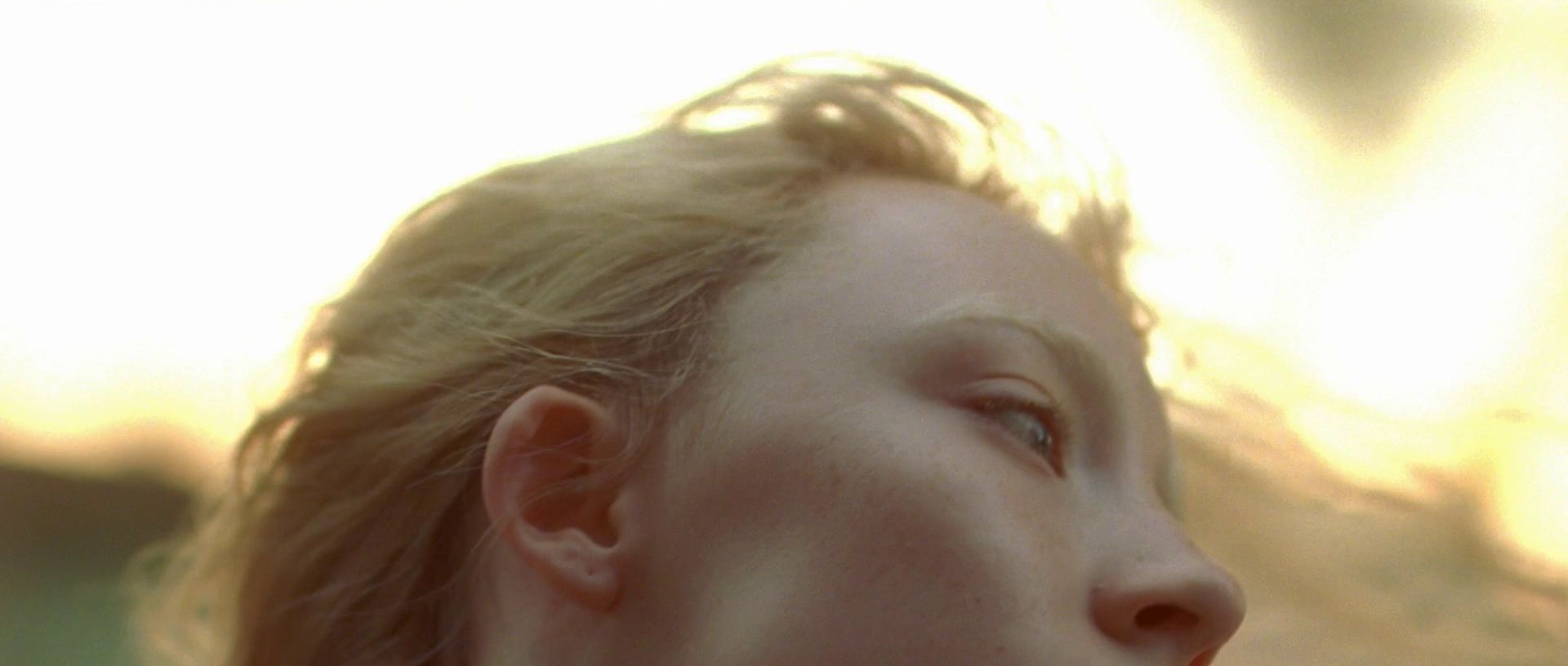 SRF-H666.jpg