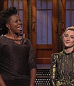 SRF-SNL031.jpg