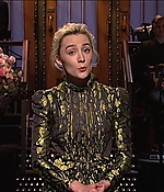 SRF-SNL035.jpg