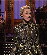 SRF-SNL040.jpg