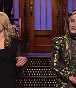 SRF-SNL047.jpg