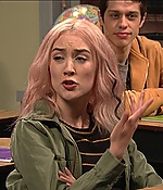 SRF-SNL239.jpg