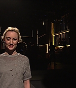 SRF-SNL248.jpg