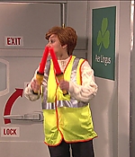 SRF-SNL261.jpg