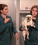SRF-SNL268.jpg