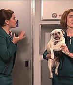SRF-SNL269.jpg
