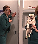 SRF-SNL270.jpg