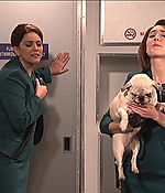 SRF-SNL271.jpg