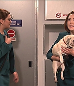 SRF-SNL272.jpg