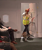 SRF-SNL279.jpg