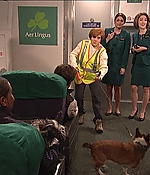 SRF-SNL280.jpg